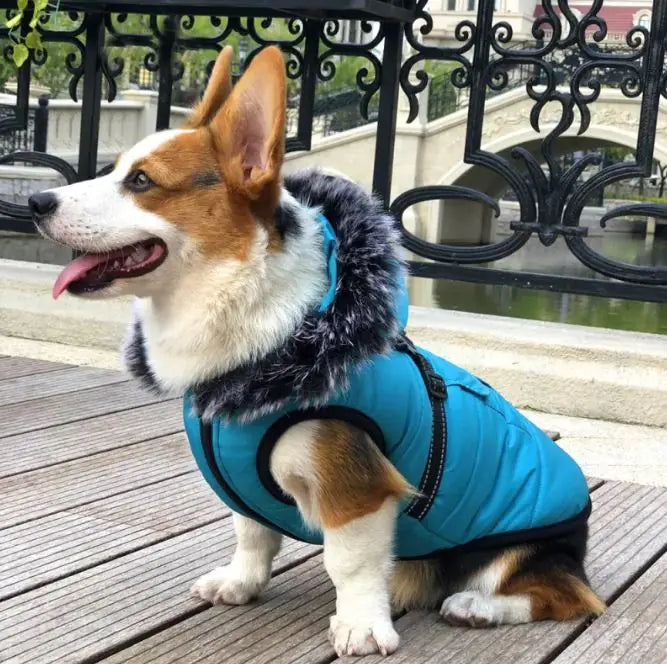 Thickened Winter Cotton Vest Warm Fur Collar For Pets